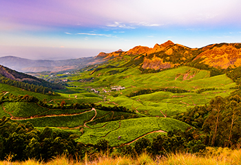 Munnar