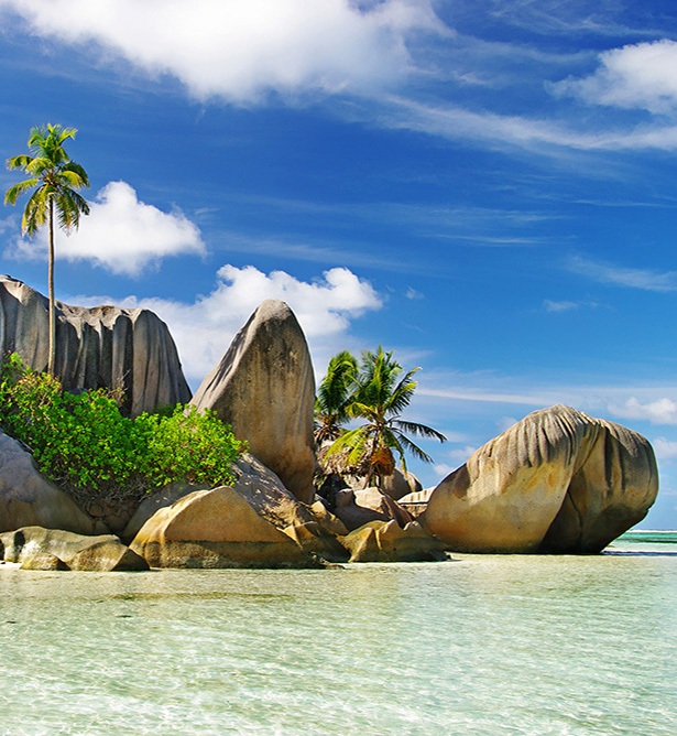Tortugas de Seychelles