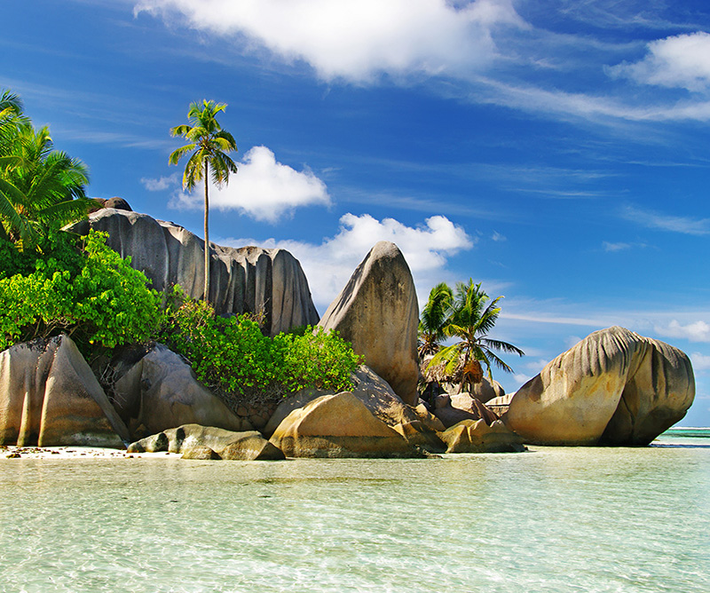 Tortugas de Seychelles