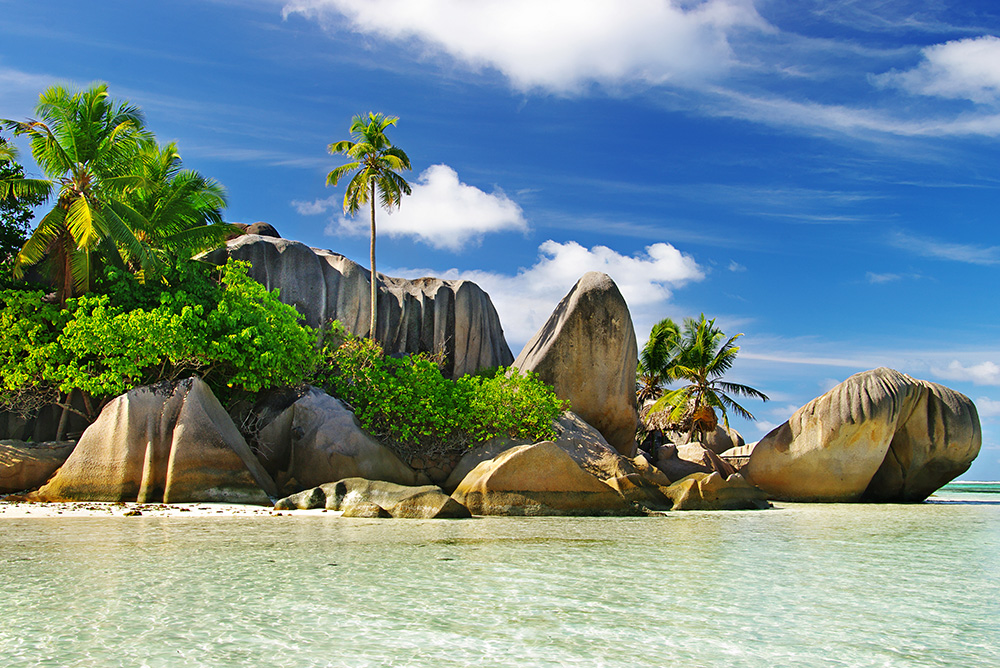 Tortugas de Seychelles