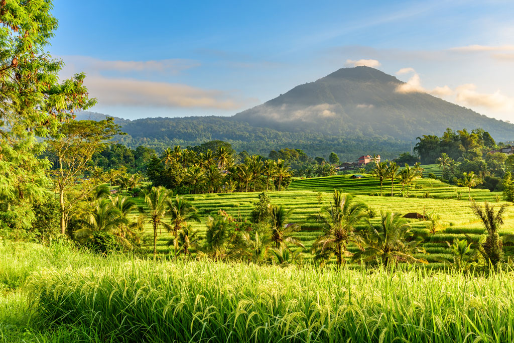 Canggu