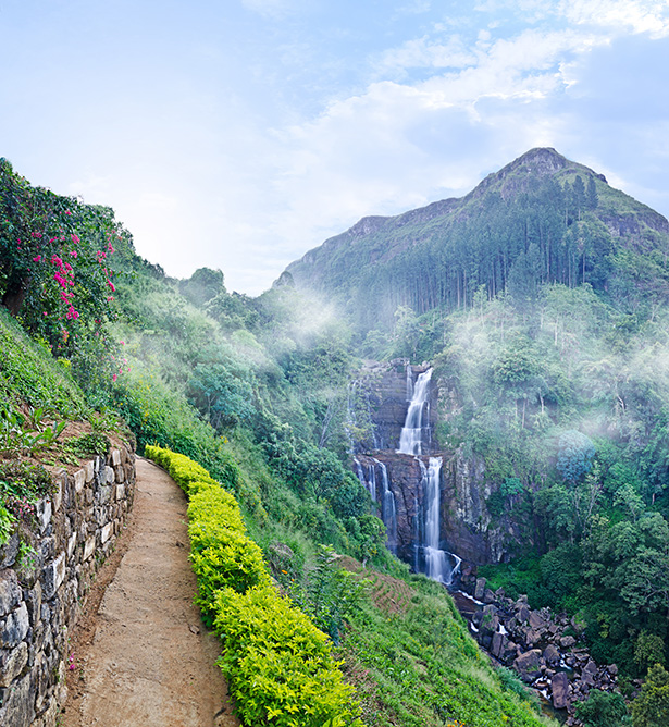 Naturaleza de Sri Lanka