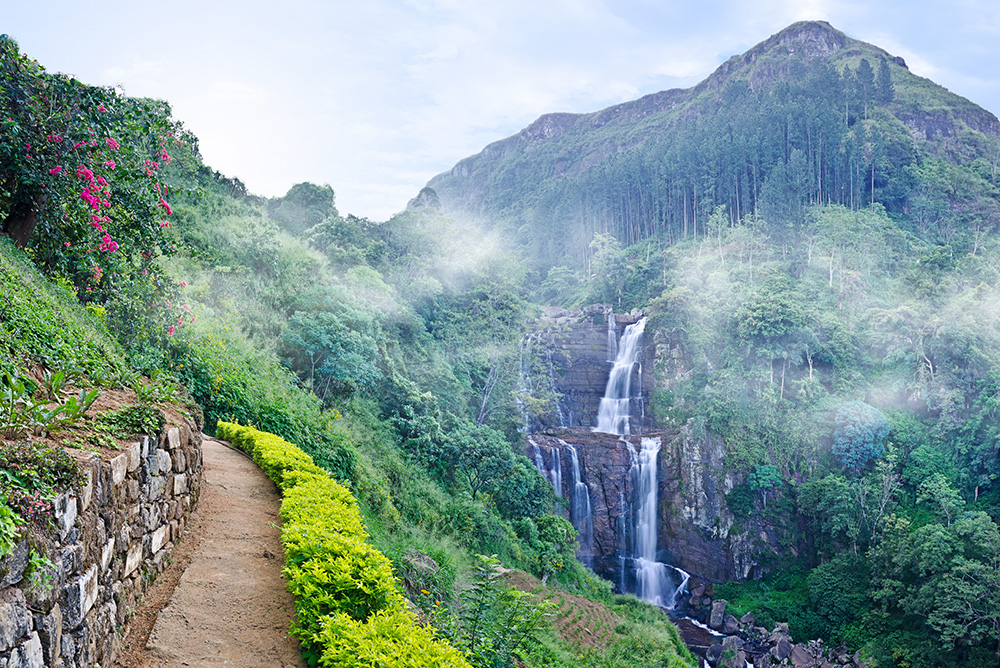 Naturaleza de Sri Lanka